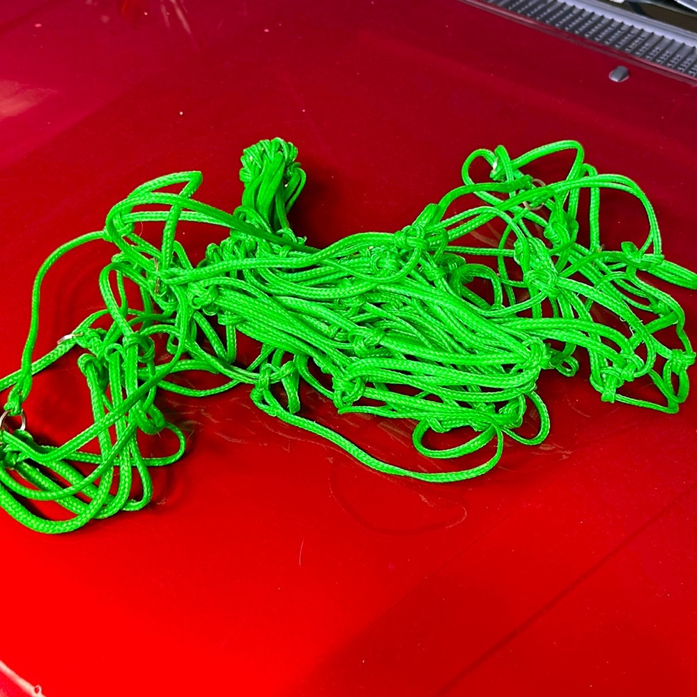 Green horse haynet